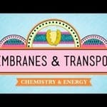 Membranes And Chemistry